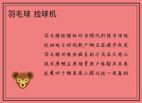 羽毛球 捡球机